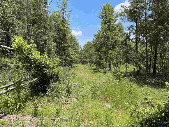 25.44 Acres of Recreational Land for Sale in Jefferson, Texas