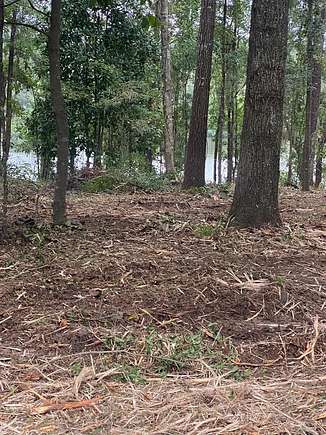 0.61 Acres of Residential Land for Sale in Ochlocknee, Georgia