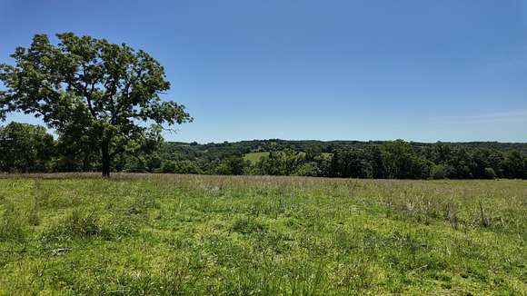 138.64 Acres of Land for Sale in Thornfield, Missouri