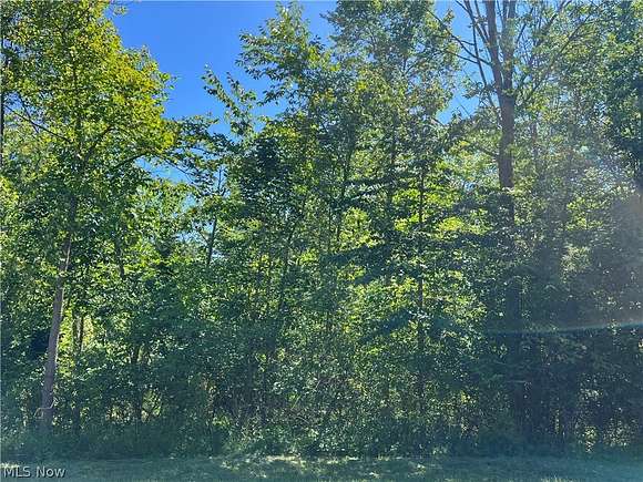 0.323 Acres of Residential Land for Sale in Malvern, Ohio