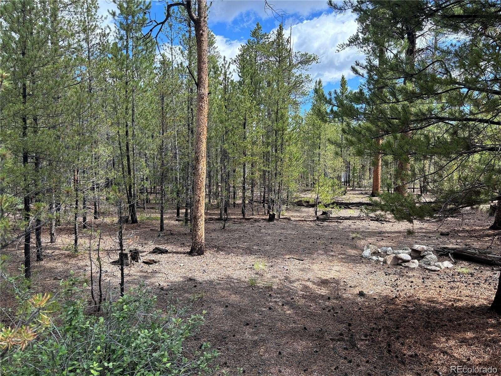 0.3 Acres of Residential Land for Sale in Twin Lakes, Colorado