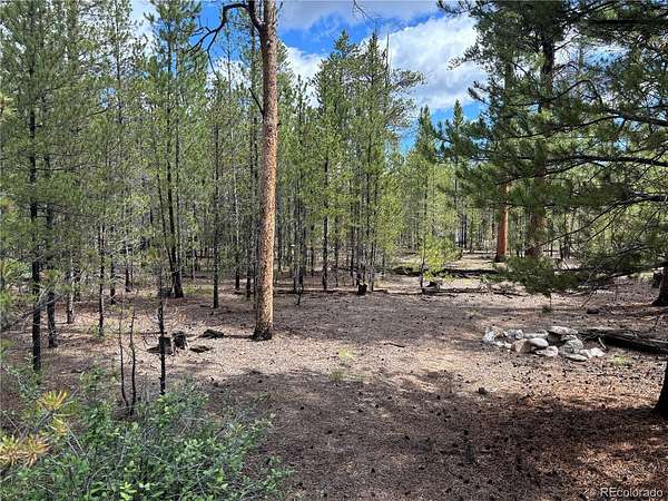 0.3 Acres of Residential Land for Sale in Twin Lakes, Colorado