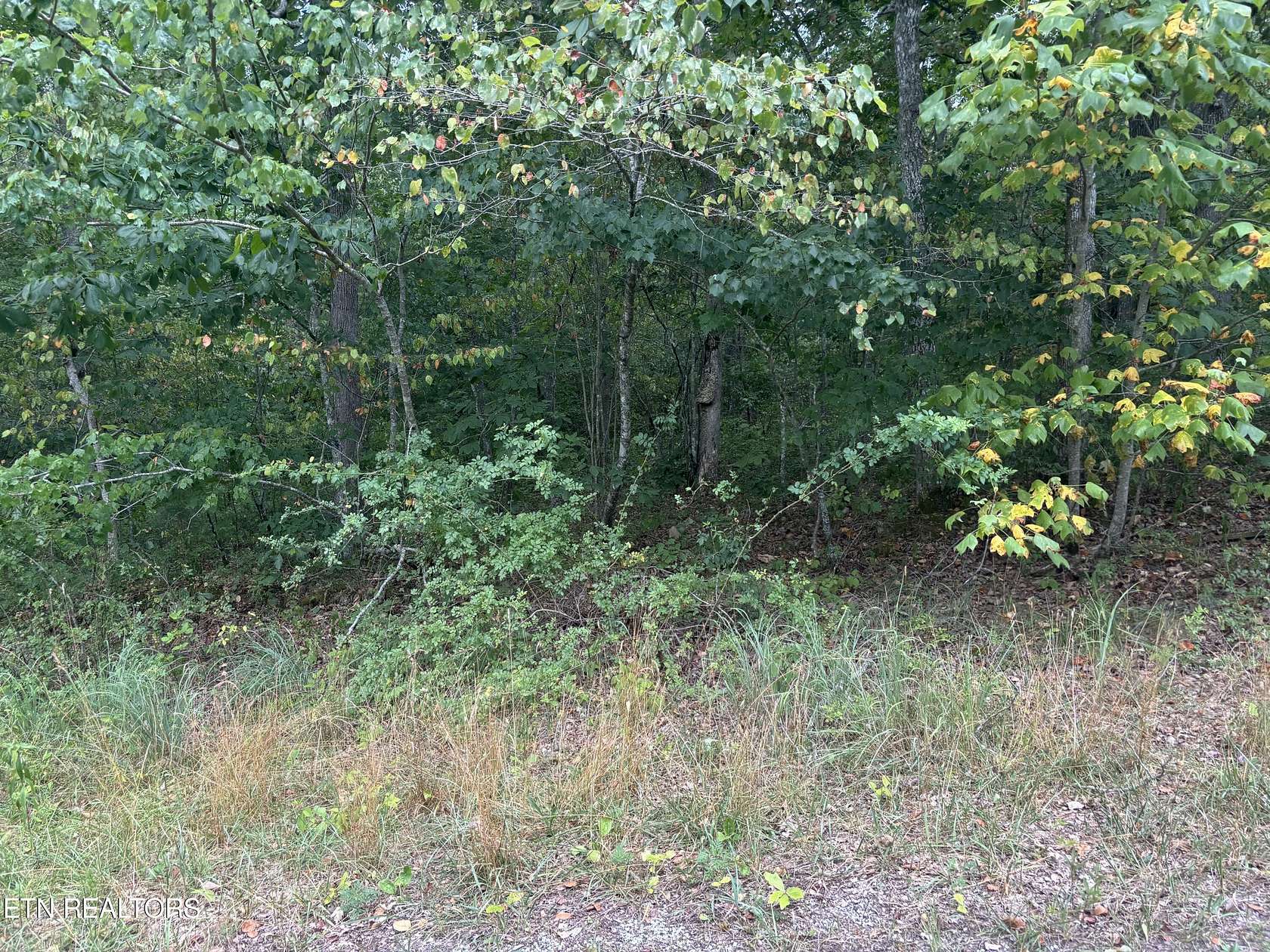 0.2 Acres of Residential Land for Sale in Crossville, Tennessee