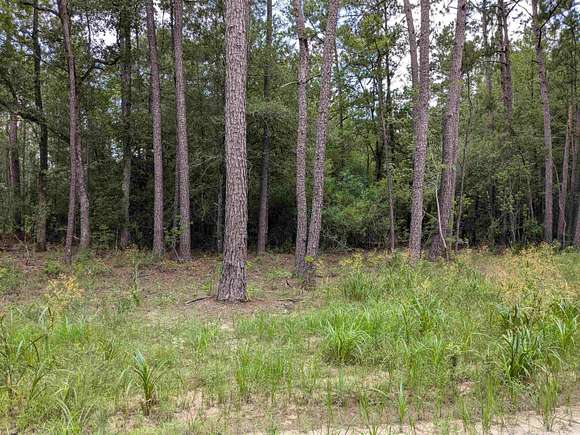 12.68 Acres of Land for Sale in Buna, Texas