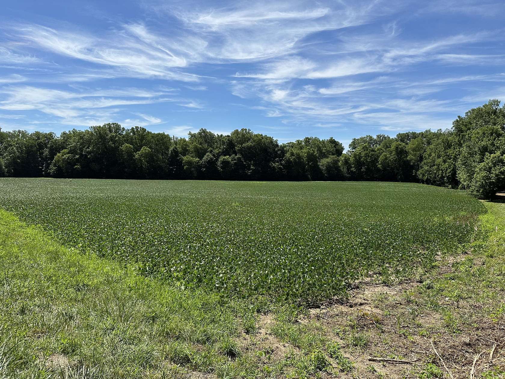 8.08 Acres of Residential Land for Sale in New Carlisle, Ohio