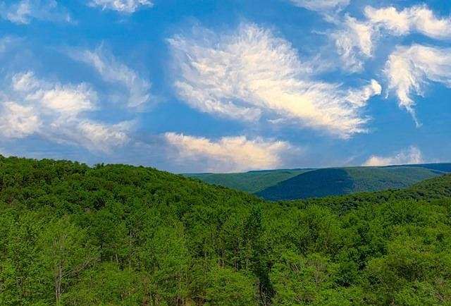 600.53 Acres of Recreational Land for Sale in Galeton, Pennsylvania