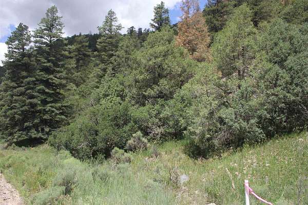 5.15 Acres of Land for Sale in Questa, New Mexico