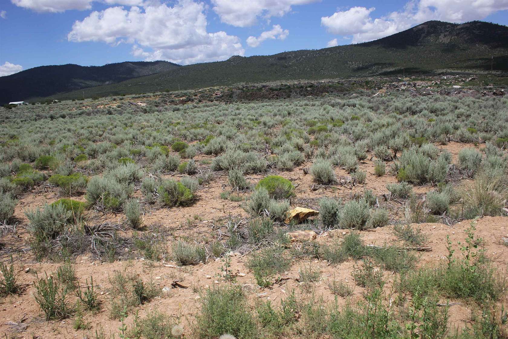 0.5 Acres of Residential Land for Sale in Questa, New Mexico