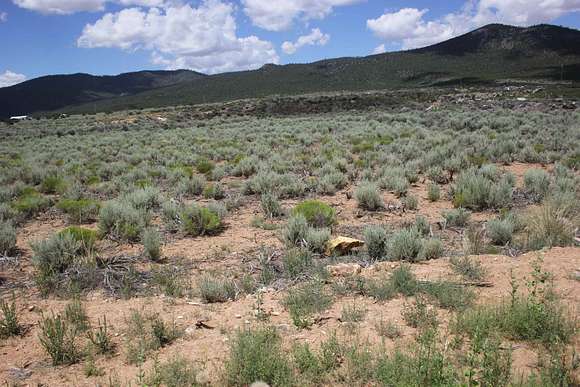 0.5 Acres of Residential Land for Sale in Questa, New Mexico