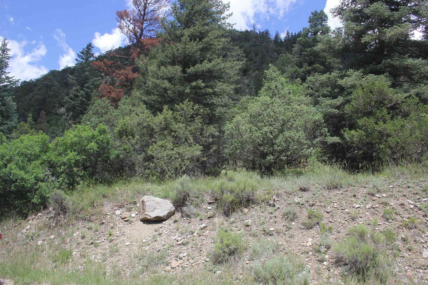 12 Acres of Recreational Land for Sale in Questa, New Mexico