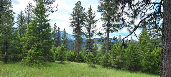 34.61 Acres of Recreational Land for Sale in Republic, Washington