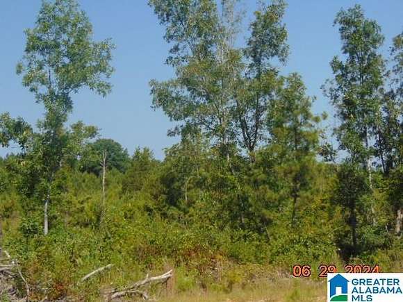 47 Acres of Recreational Land for Sale in Verbena, Alabama