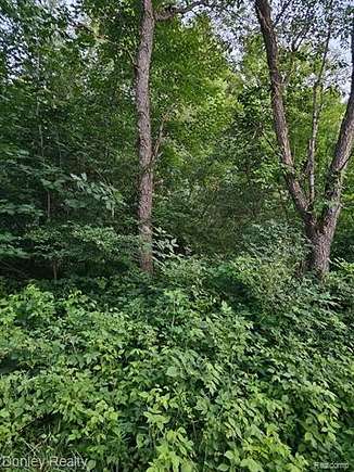 10 Acres of Residential Land for Sale in Decker, Michigan