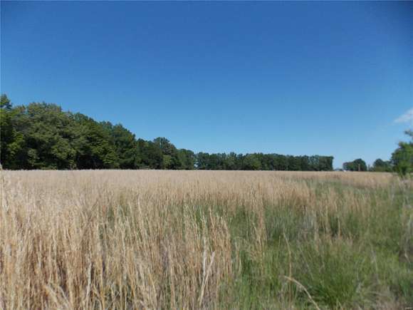 16.59 Acres of Land for Sale in Poplar Bluff, Missouri