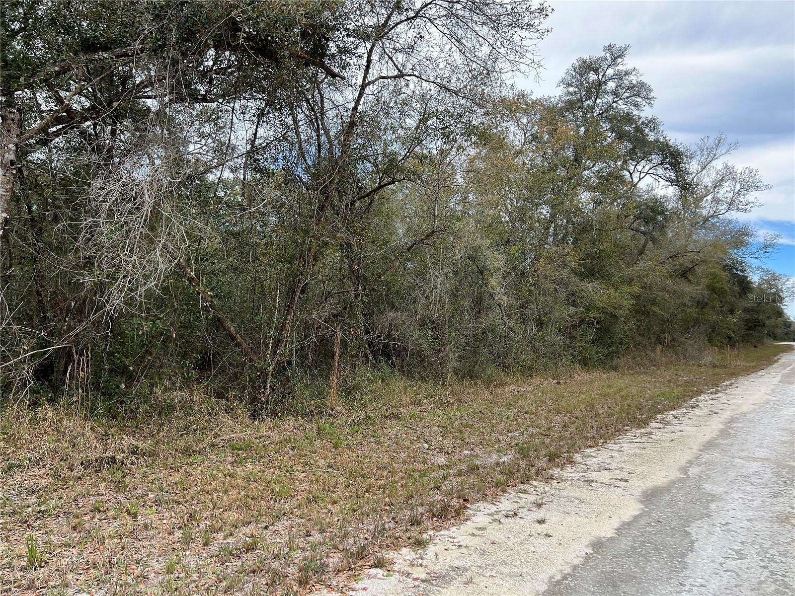 1.16 Acres of Residential Land for Sale in Webster, Florida