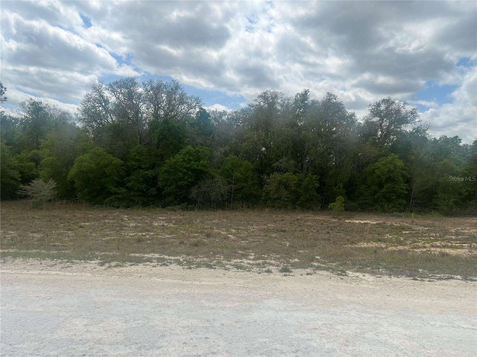 1.01 Acres of Residential Land for Sale in Webster, Florida