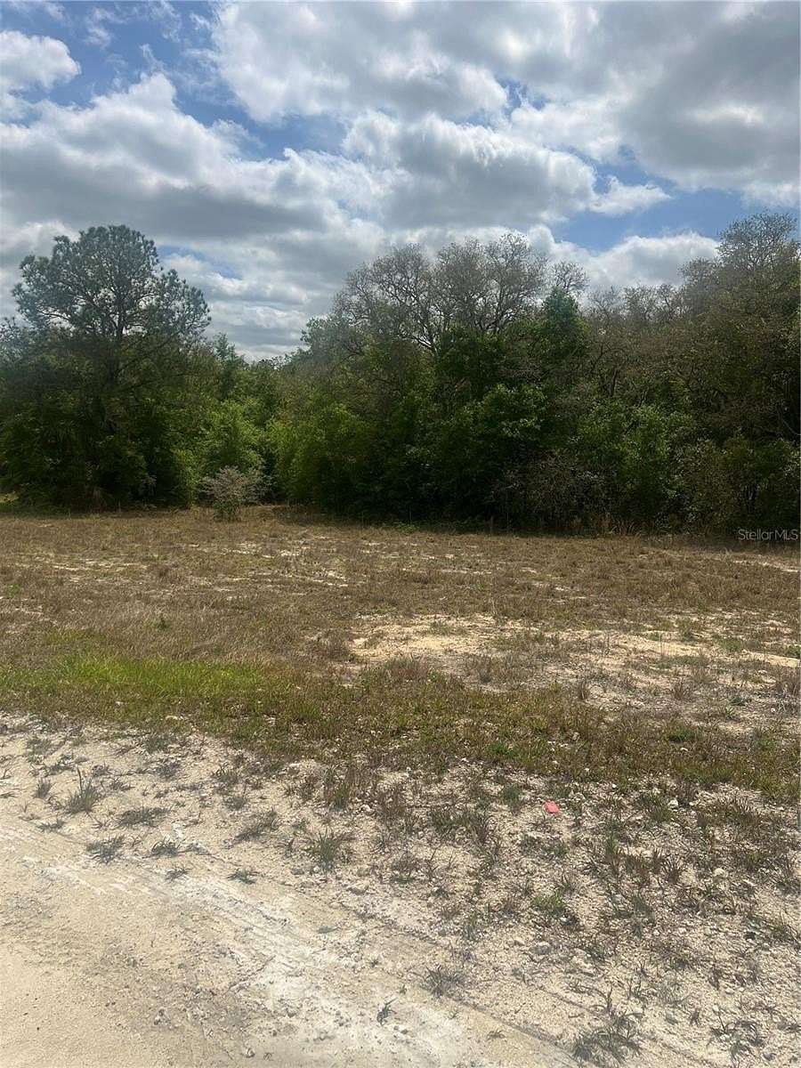 1 Acre of Residential Land for Sale in Webster, Florida