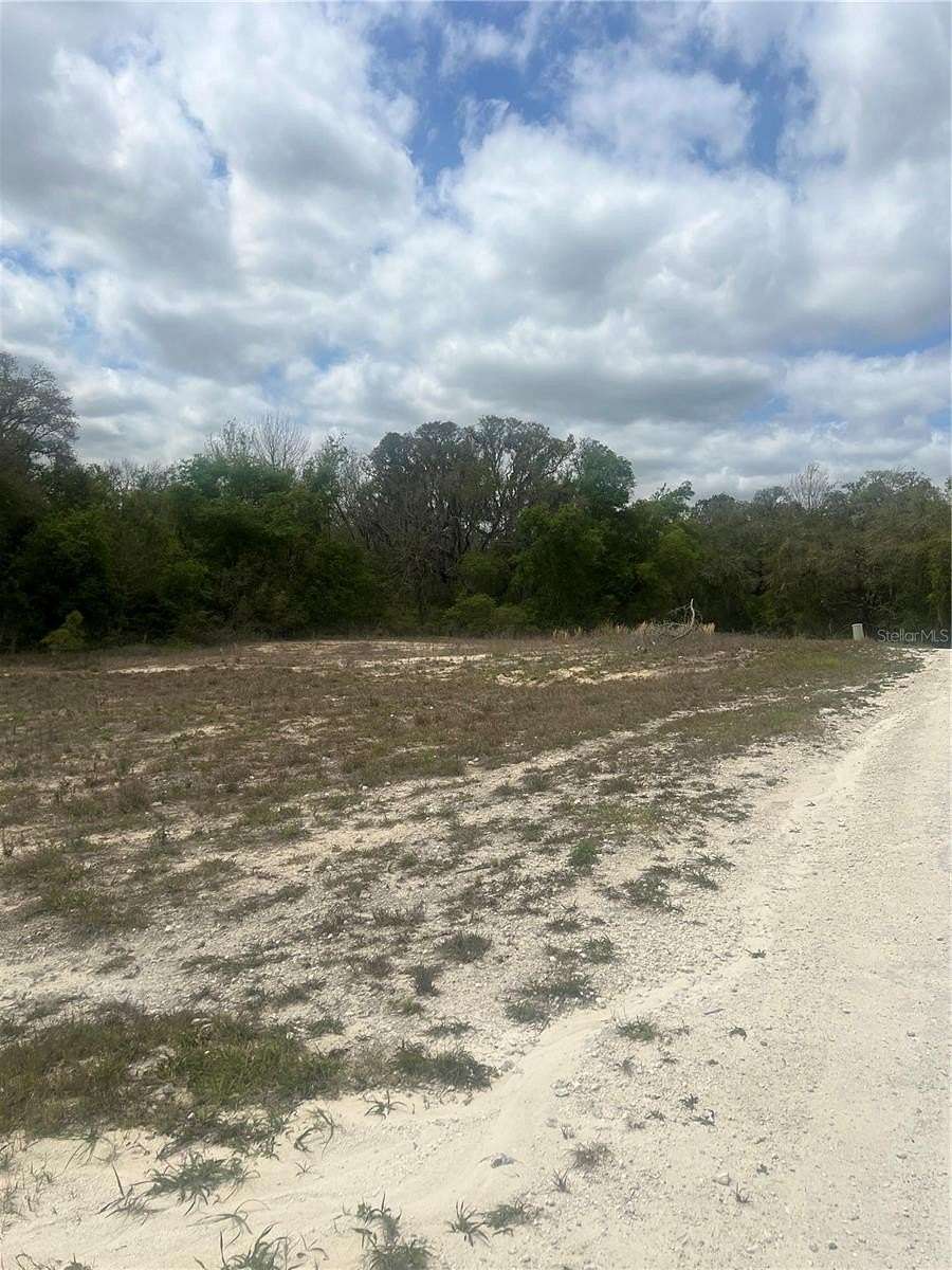 1 Acre of Residential Land for Sale in Webster, Florida