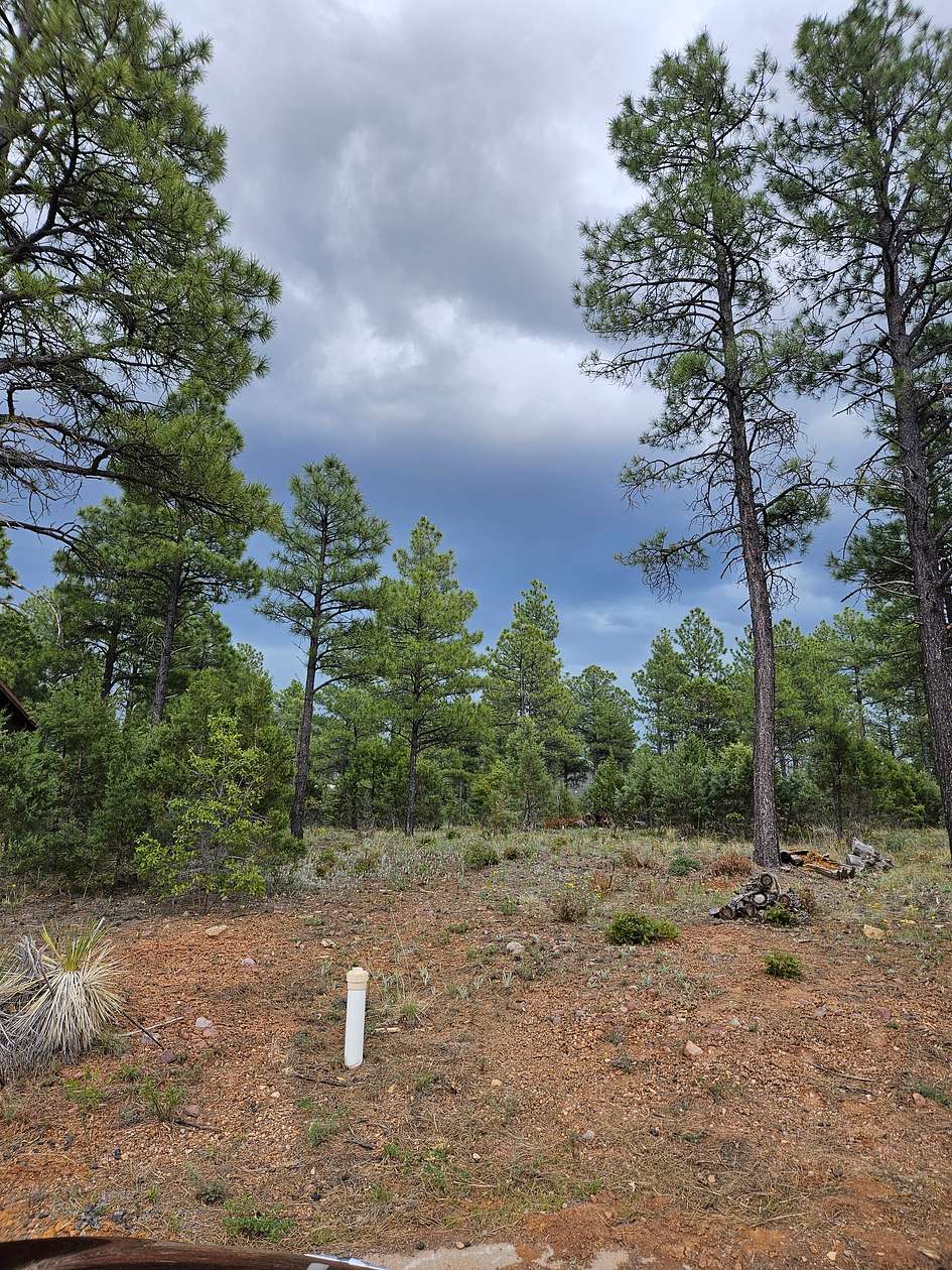 0.23 Acres of Residential Land for Sale in Show Low, Arizona