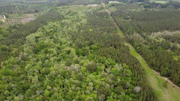 244 Acres of Recreational Land for Sale in Brooksville, Mississippi