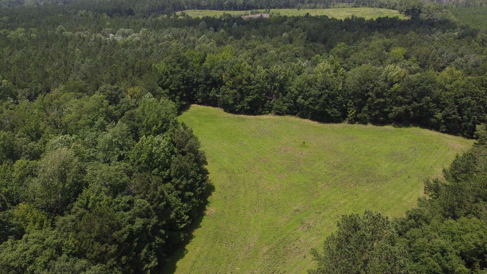 40.8 Acres of Recreational Land & Farm for Sale in Wiggins, Mississippi