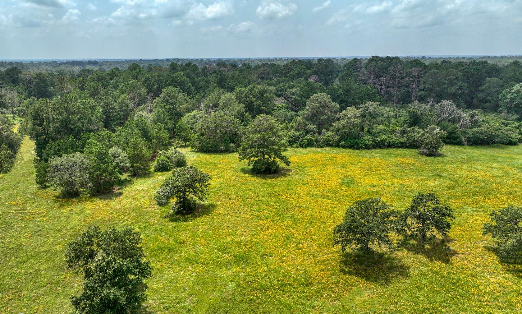 13.94 Acres of Recreational Land for Sale in Bellville, Texas