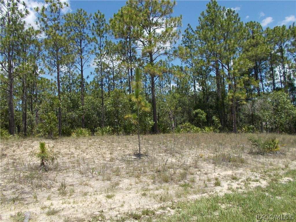 1 Acre of Land for Sale in Beverly Hills, Florida