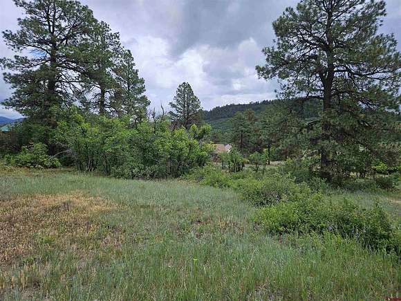 0.3 Acres of Residential Land for Sale in Pagosa Springs, Colorado