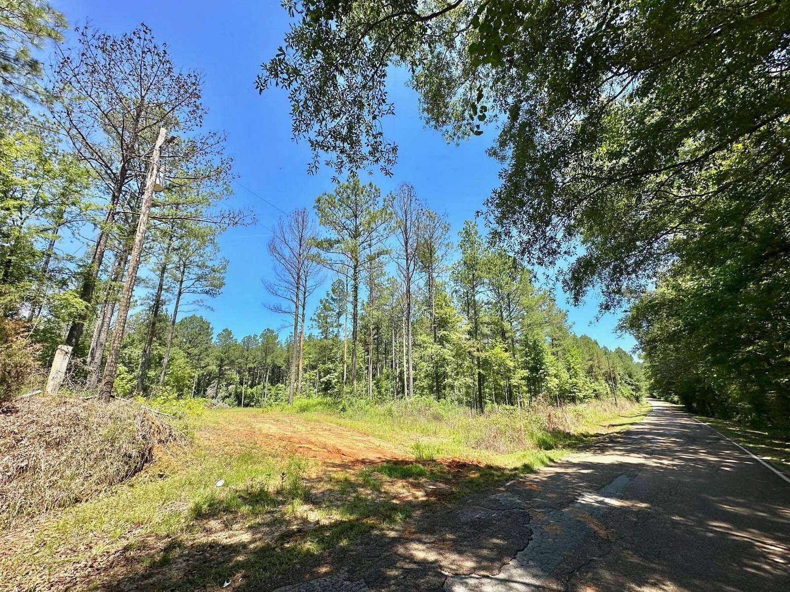 44.79 Acres of Recreational Land for Sale in Canton, Mississippi