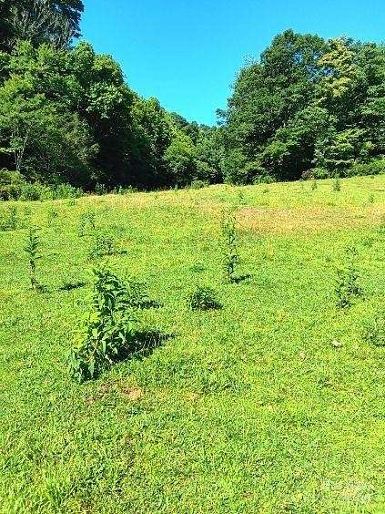 37.4 Acres of Land for Sale in Black Mountain, North Carolina