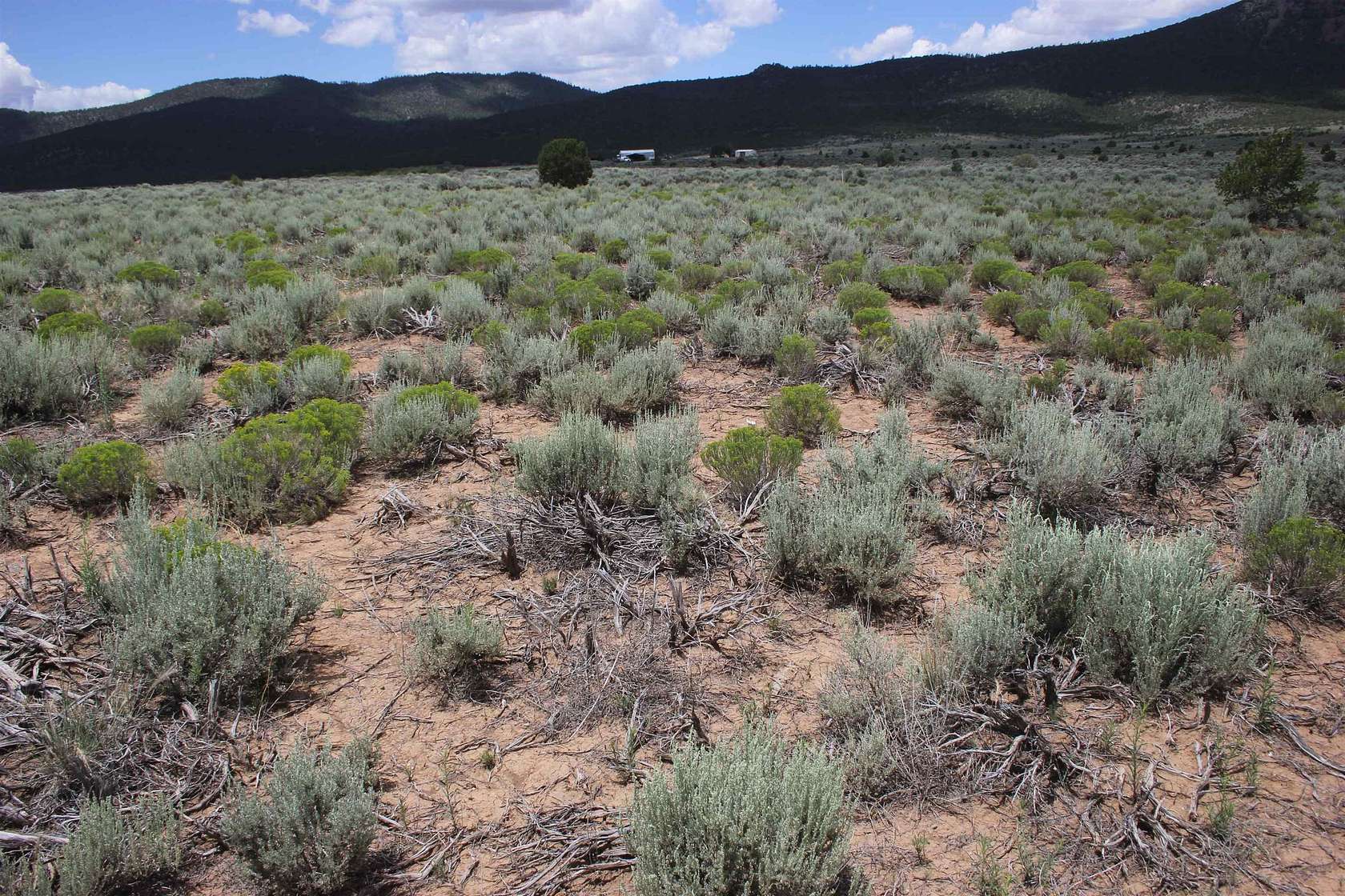 1 Acres of Residential Land for Sale in Questa, New Mexico