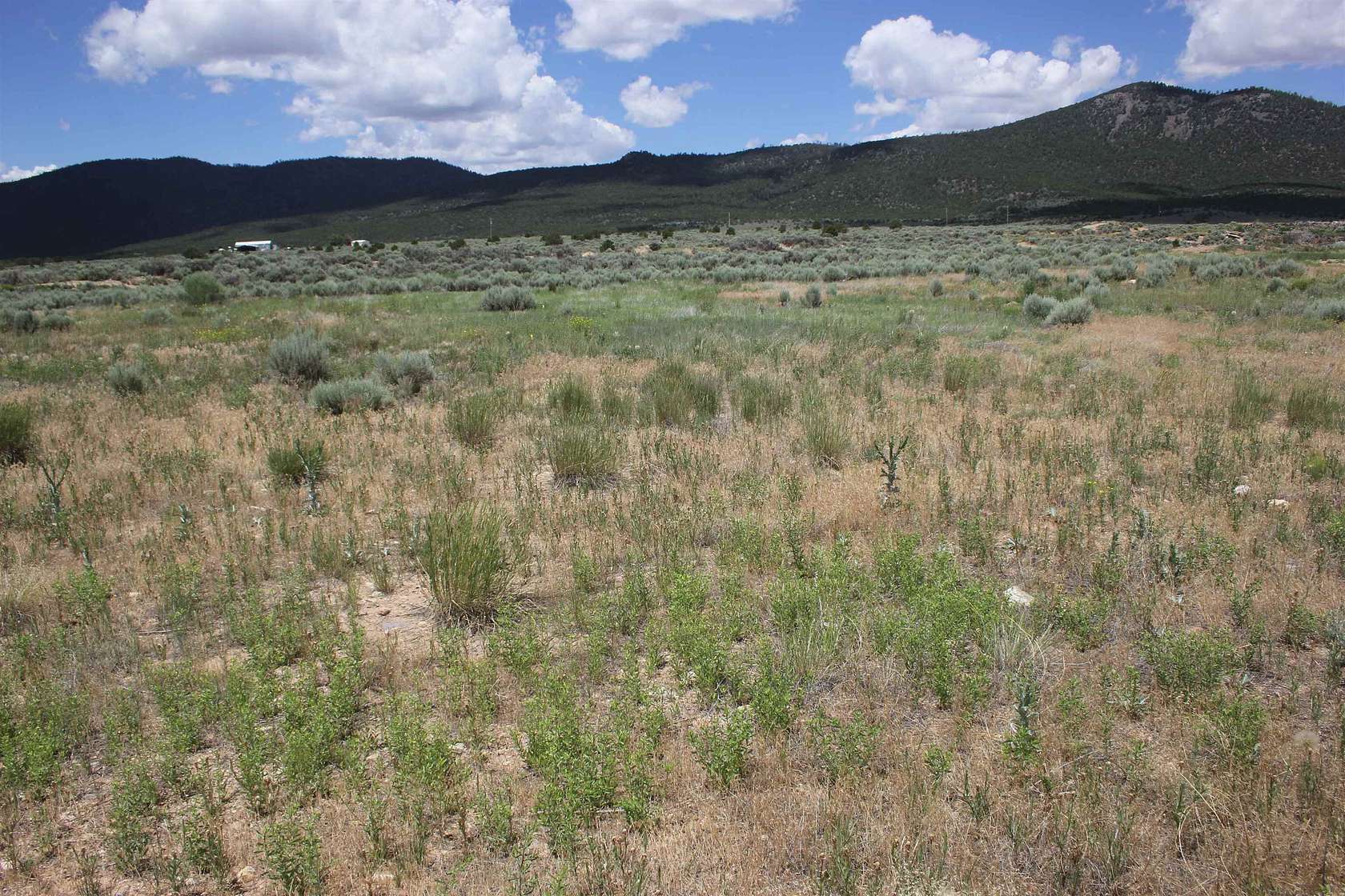 1 Acres of Residential Land for Sale in Questa, New Mexico