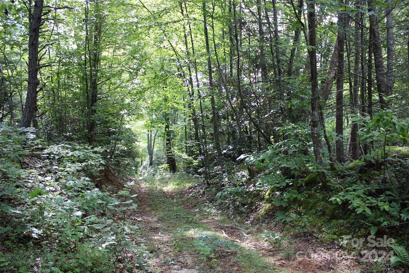 76 Acres of Recreational Land for Sale in Black Mountain, North Carolina