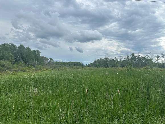 9.7 Acres of Land for Sale in Aldrich, Minnesota