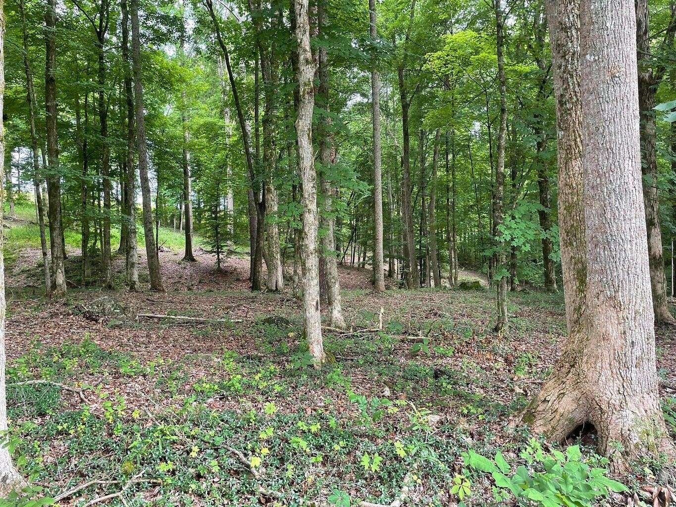 2.01 Acres of Land for Sale in Calhoun, Tennessee