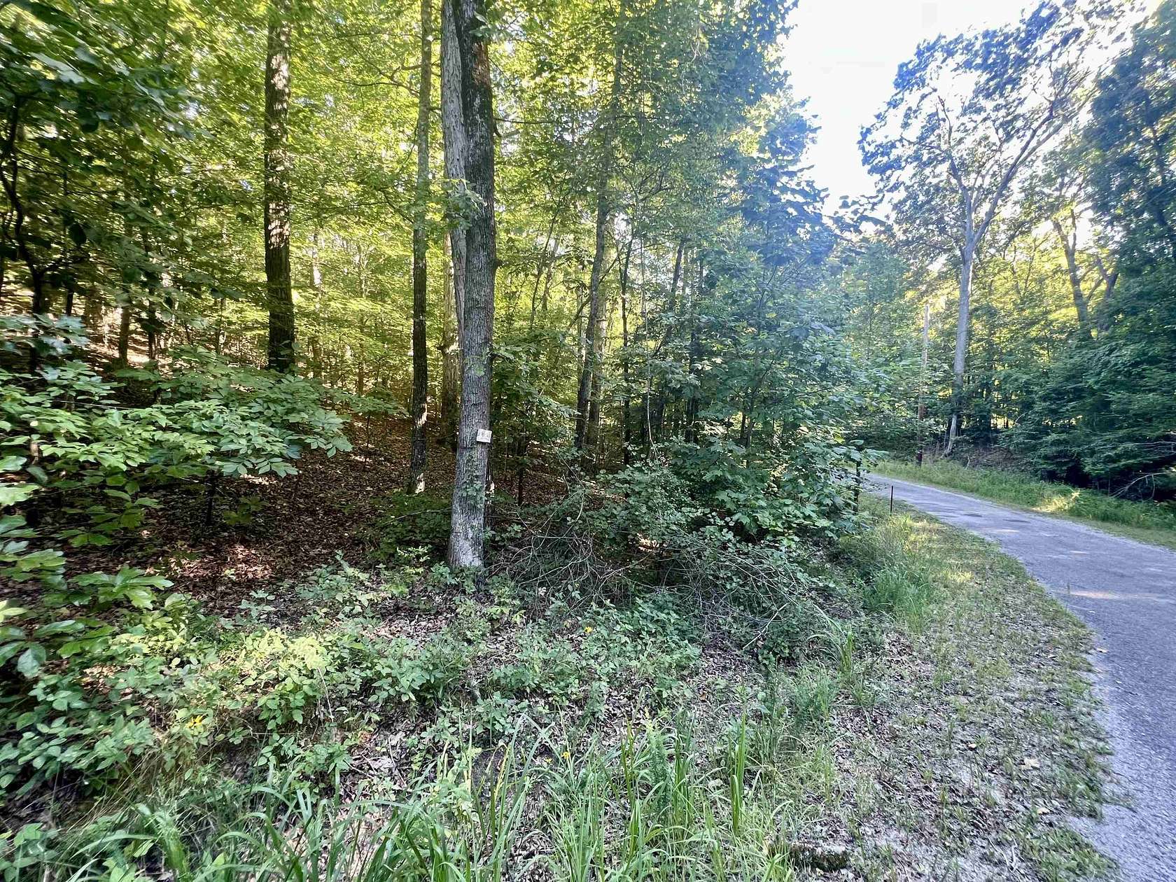 0.5 Acres of Residential Land for Sale in Middleton, Tennessee