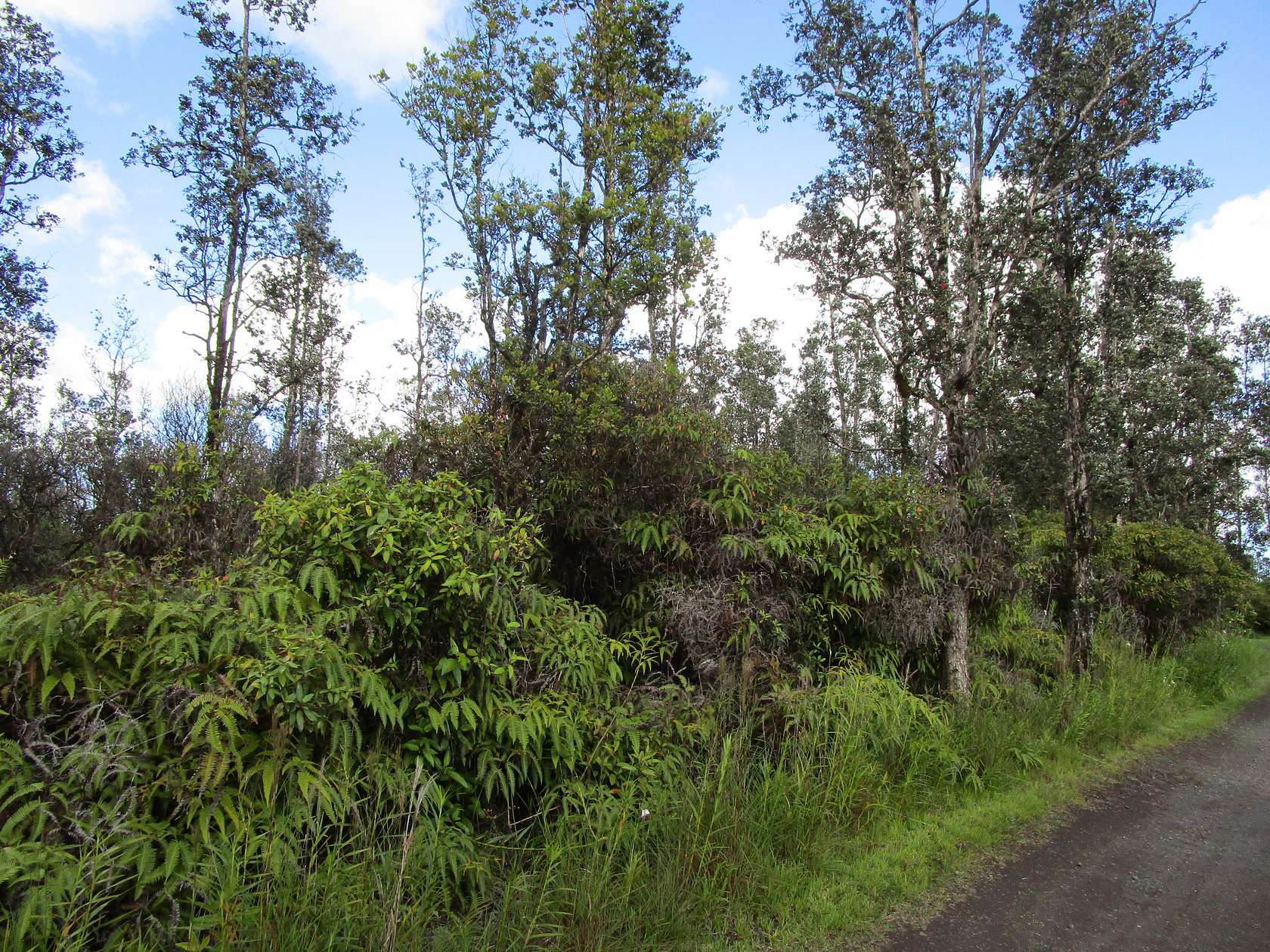 3 Acres of Land for Sale in Mountain View, Hawaii