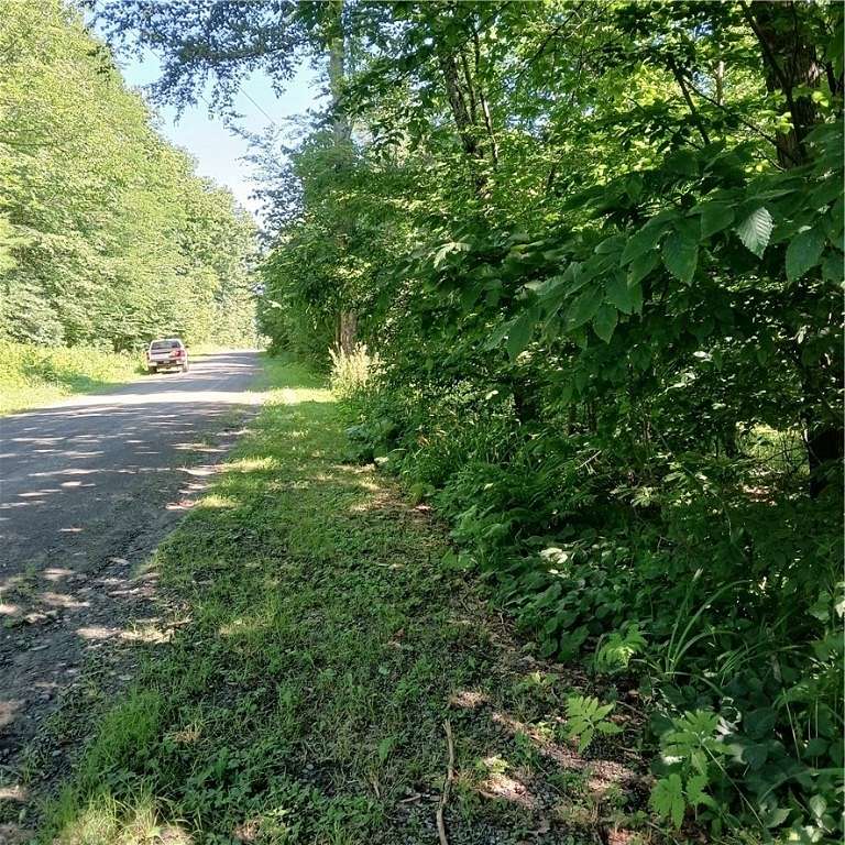 29.6 Acres of Land for Sale in Morris, New York