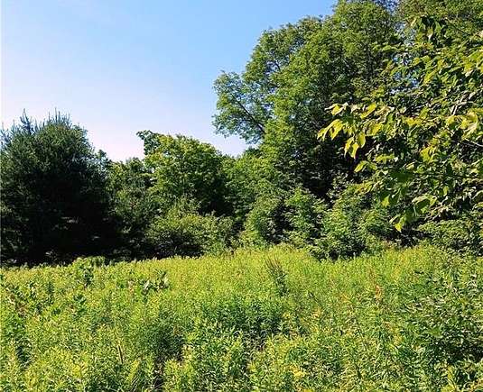 29.6 Acres of Land for Sale in Morris, New York