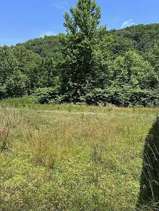 30.25 Acres of Land for Sale in Branchland, West Virginia