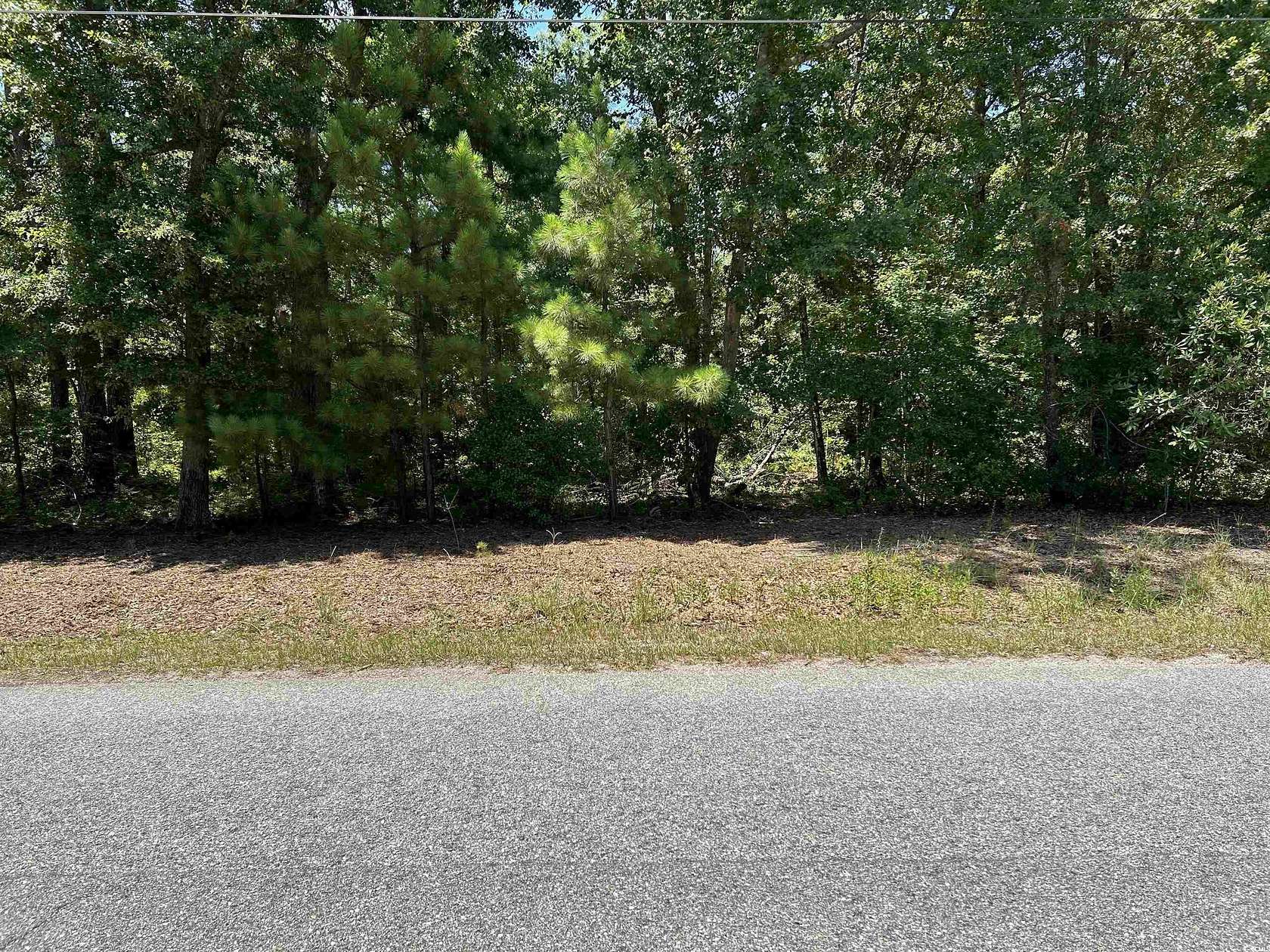 0.29 Acres of Residential Land for Sale in Johnsonville, South Carolina