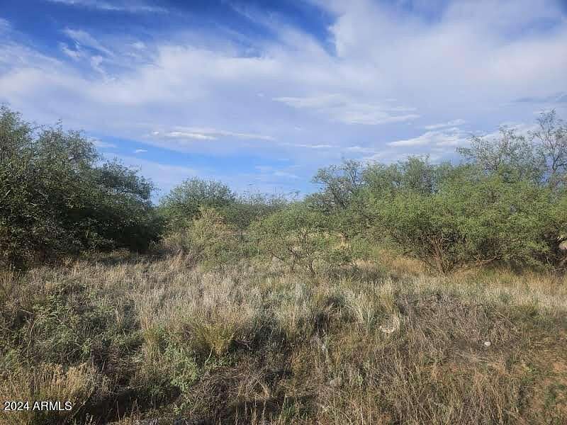 1.03 Acres of Residential Land for Sale in Huachuca City, Arizona