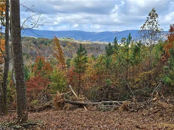 40 Acres of Recreational Land for Sale in Ararat, Virginia