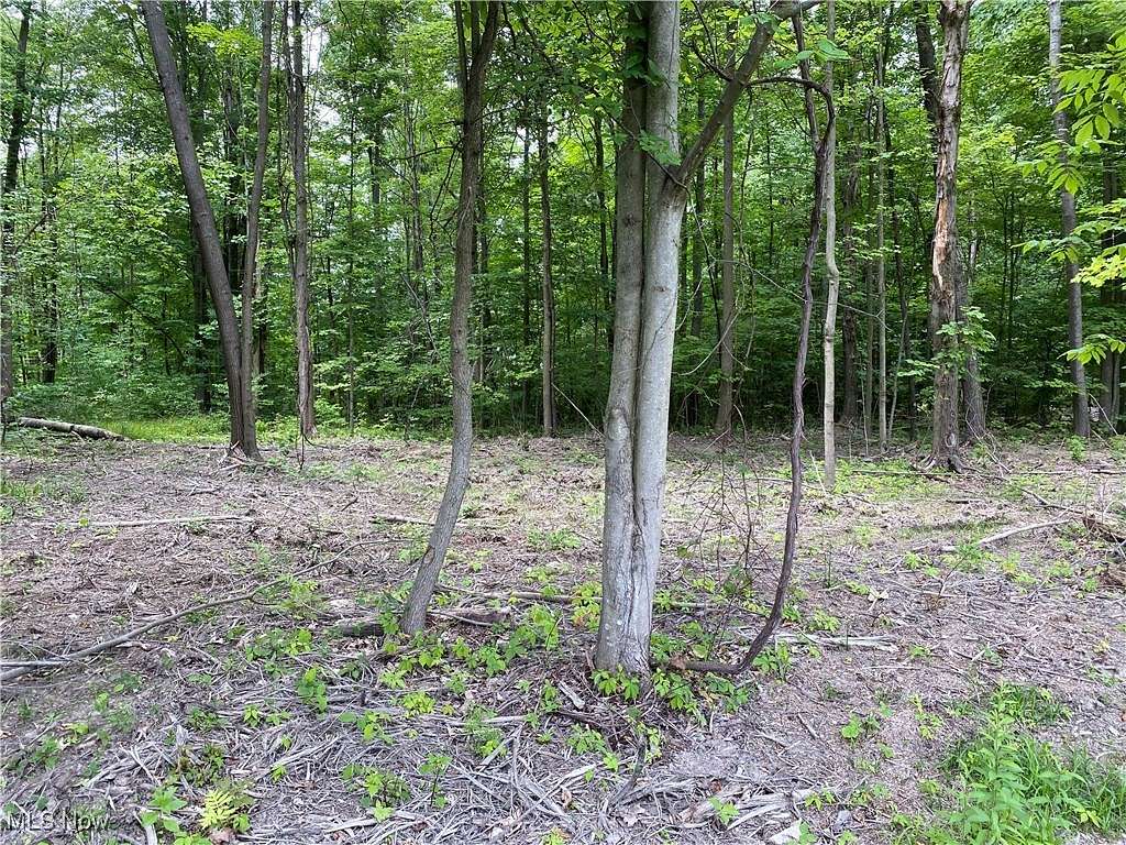 0.78 Acres of Residential Land for Sale in Roaming Shores, Ohio