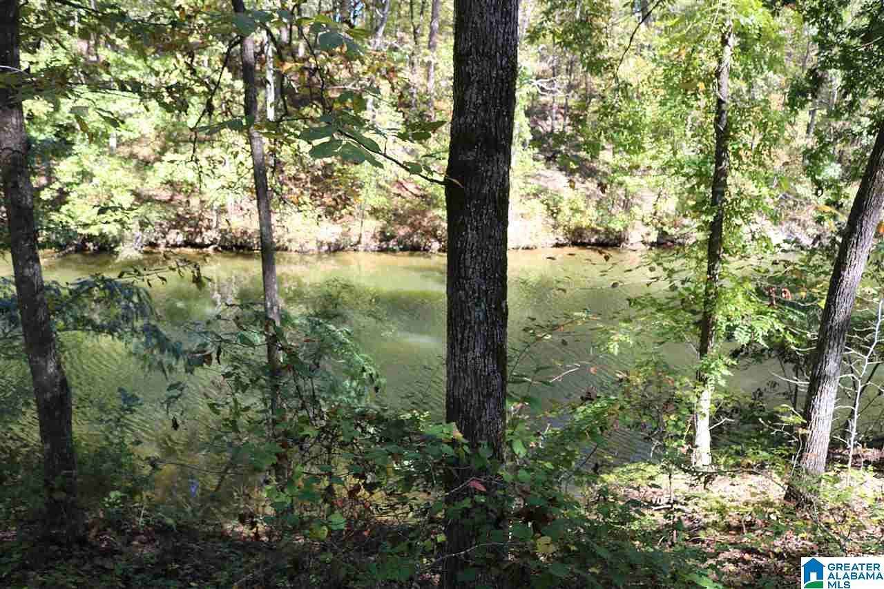 0.42 Acres of Residential Land for Sale in Vincent, Alabama