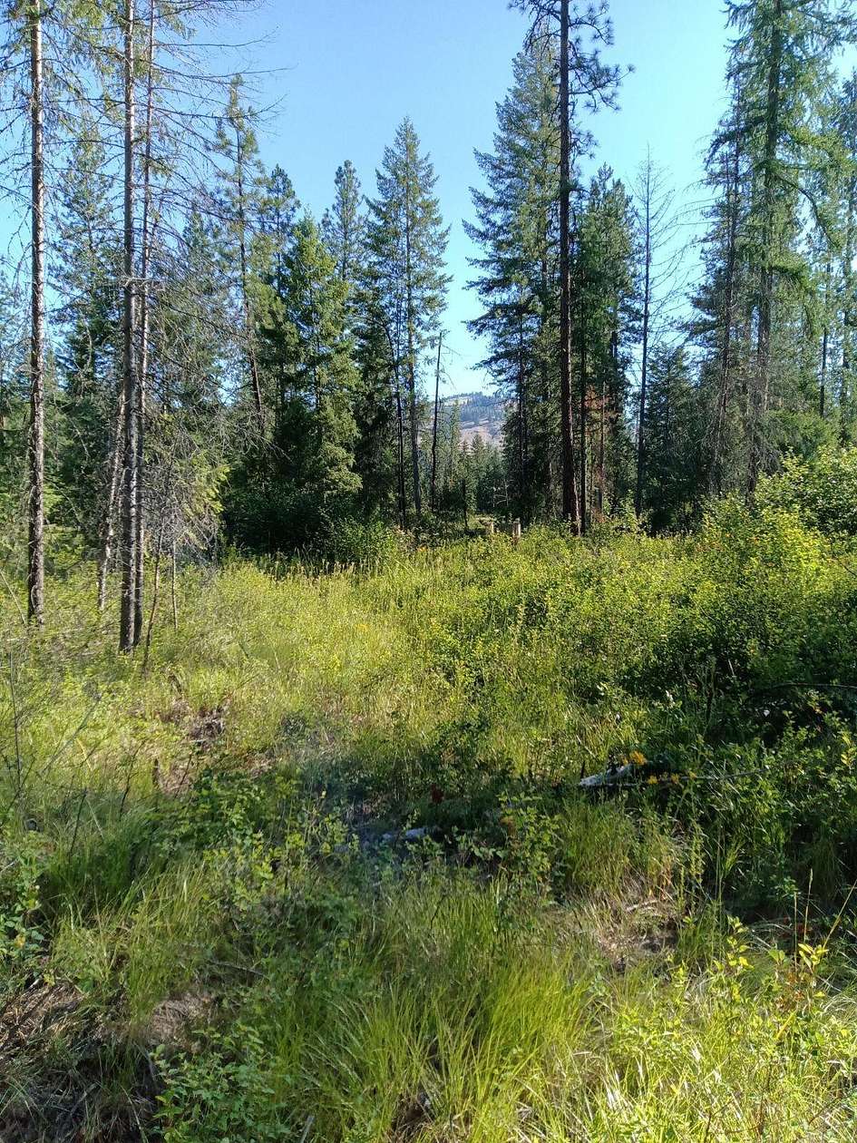 7 Acres of Land for Sale in Kettle Falls, Washington
