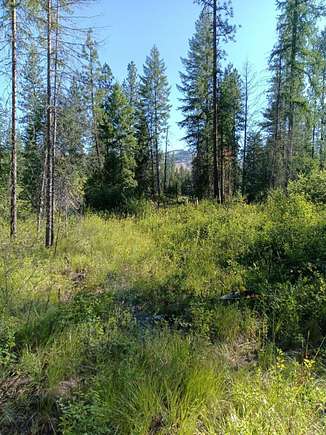 7 Acres of Residential Land for Sale in Kettle Falls, Washington