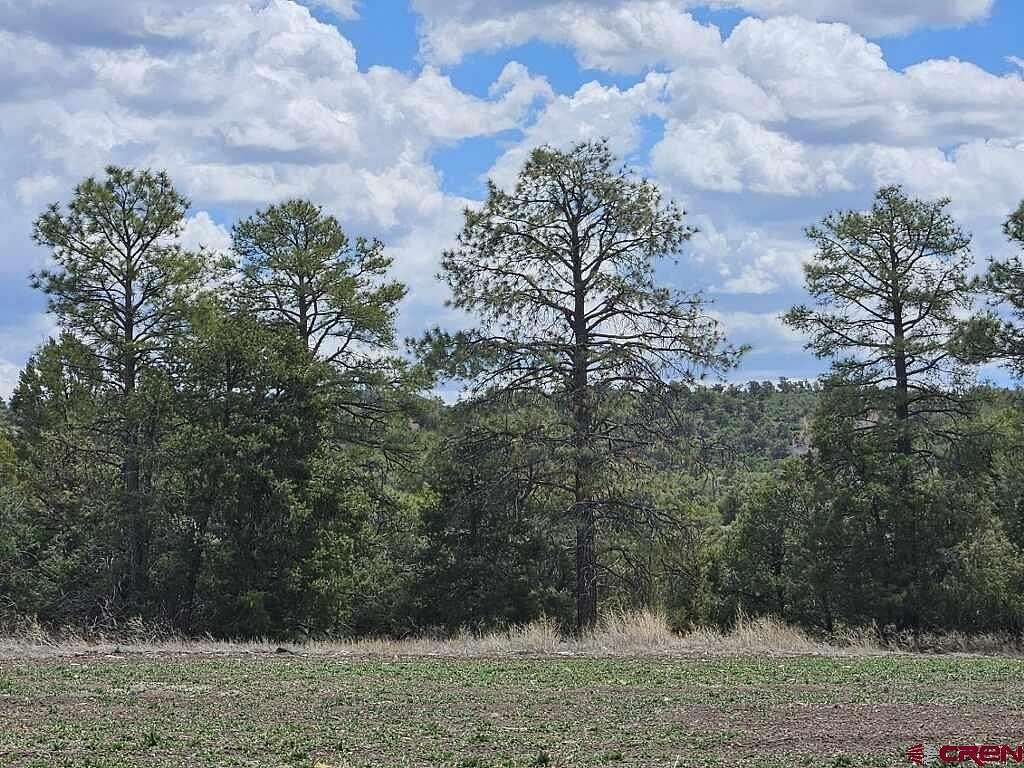 35.05 Acres of Land for Sale in Mancos, Colorado