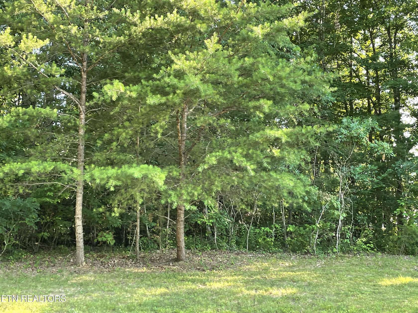 2 Acres of Residential Land for Sale in Clarkrange, Tennessee