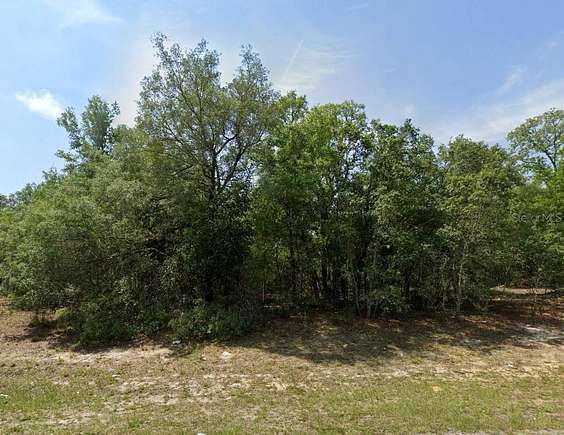 0.26 Acres of Land for Sale in Citrus Springs, Florida
